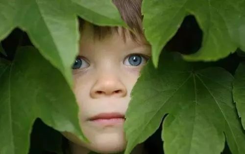 孩子看恐怖片害怕的样子,如果孩子看恐怖片害怕怎么办