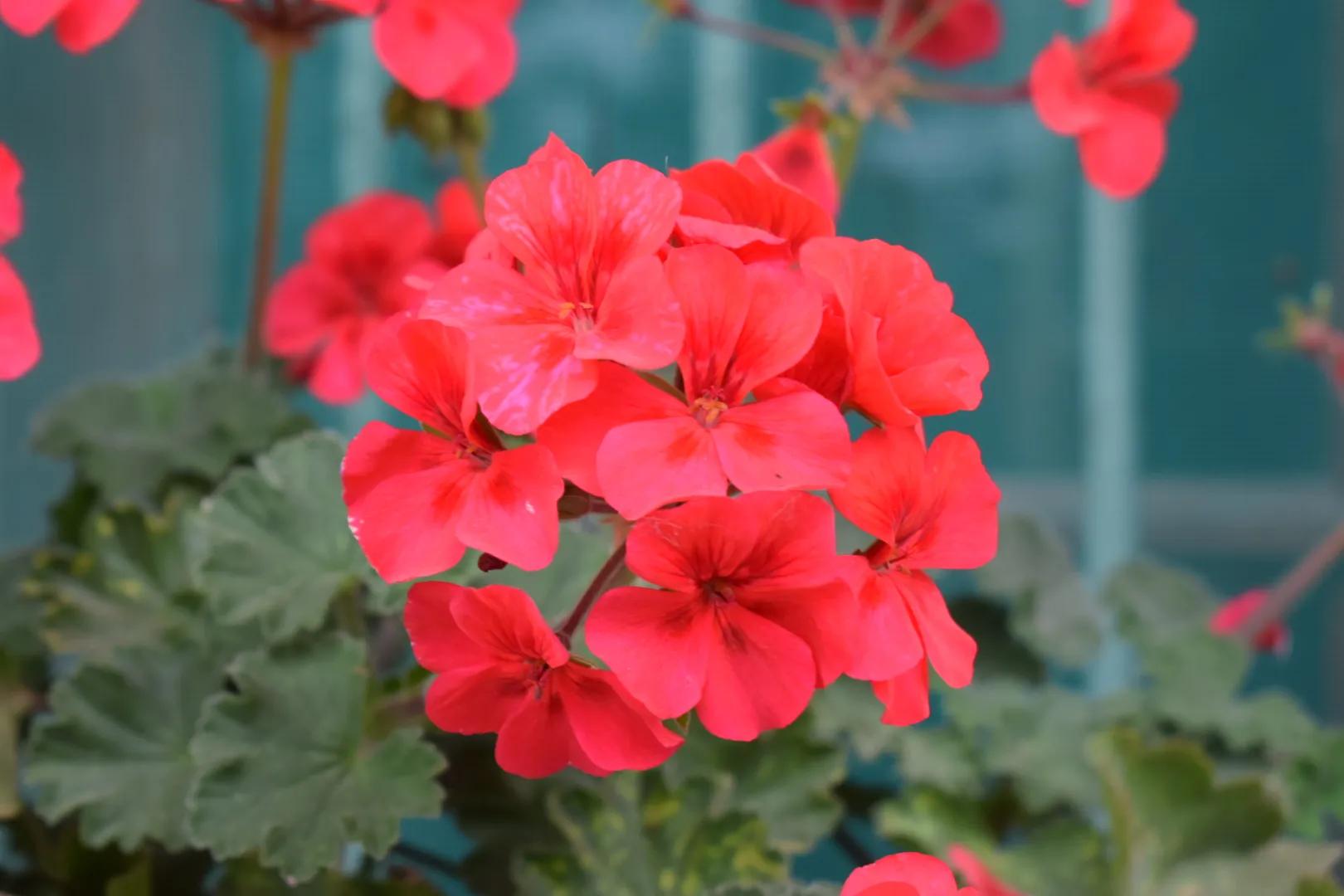 老年人该不该洗澡,怎样给行动不方便的老人洗澡