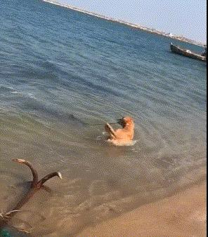 闺蜜生日送蛋糕还是送礼物呢,闺蜜过生日给他送什么零食好呢