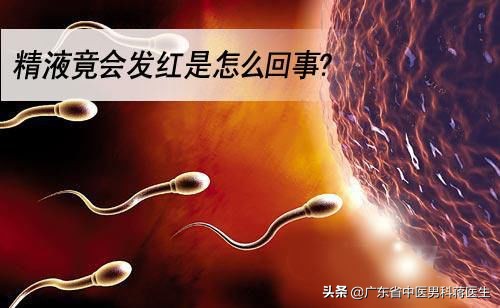 精子带血怎么回事怎么治疗,男性出现血精是怎么一回事