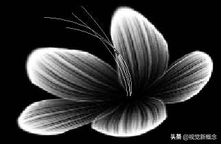 ps教程制作花海,用ps设计绚丽光影花朵图案教程