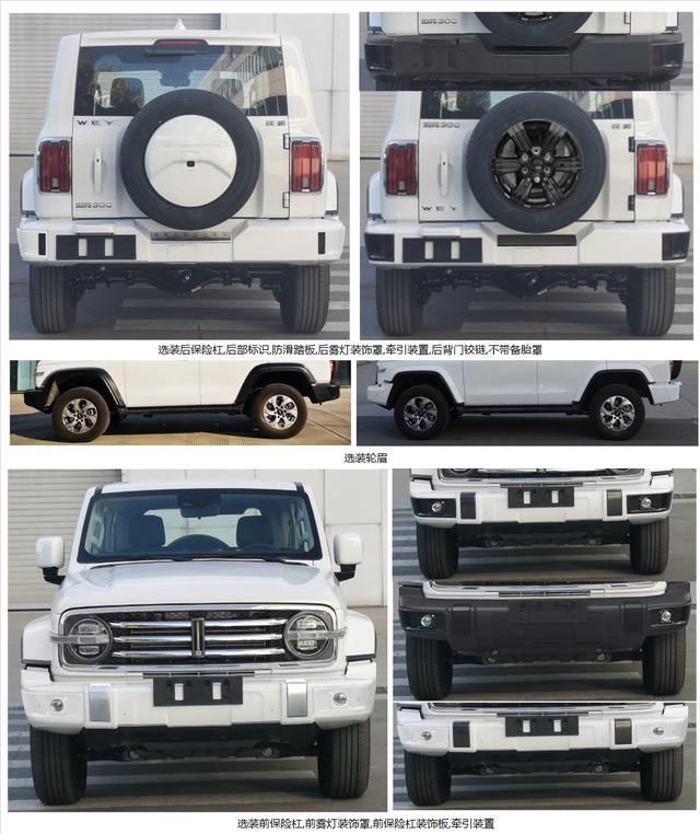 调性向前销量冲后，坦克300分析：选17.58万还是等城市版