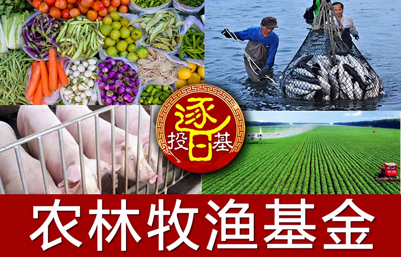 郭睿中欧消费基金2021,郭睿走下神坛