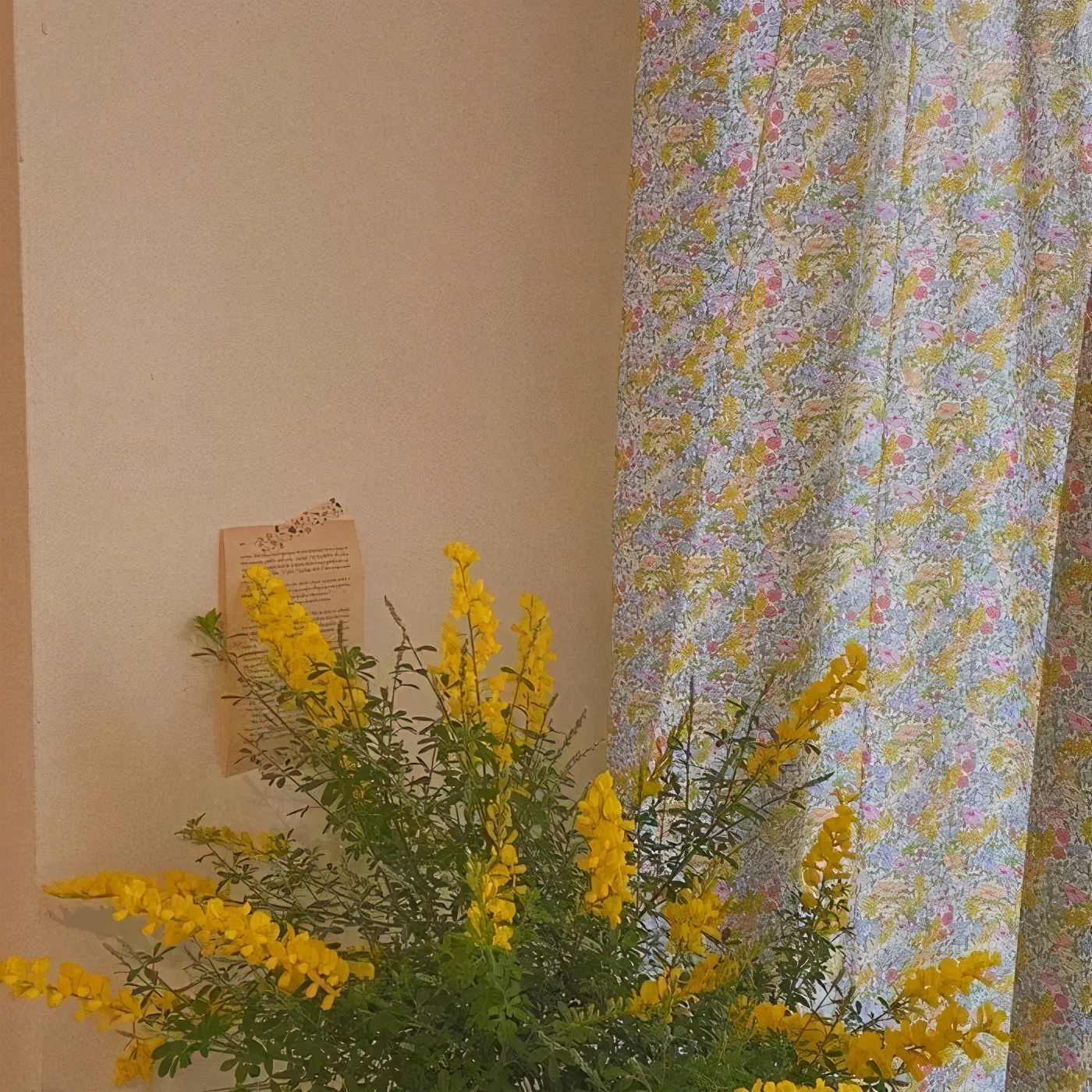 适合剪vlog的app,vlog日常剪辑软件推荐