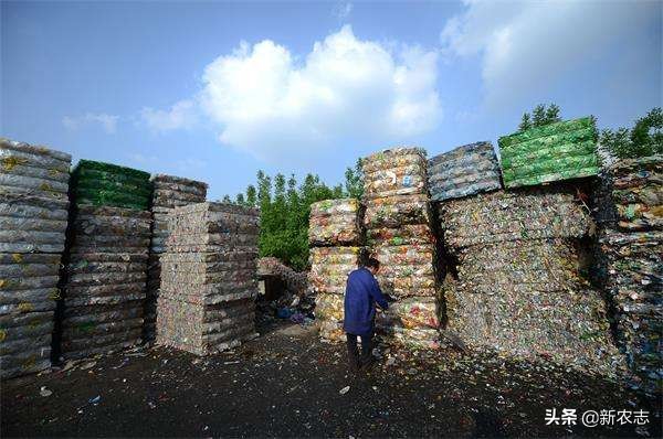 塑料瓶回收创业,家庭小作坊致富项目可回收