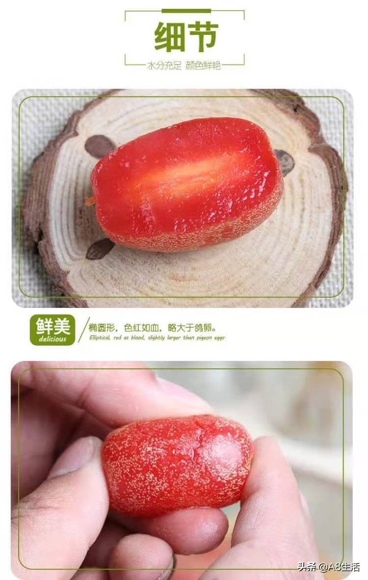 种羊奶果的前景,羊奶果种植基地在哪