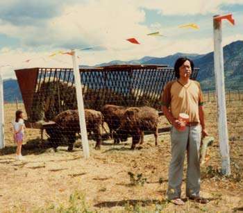 回忆王小波的文章,追忆似水年华王小波