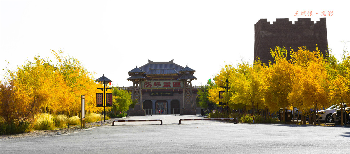 第一次去看胡杨的感触,第一次体验到沙漠乐趣