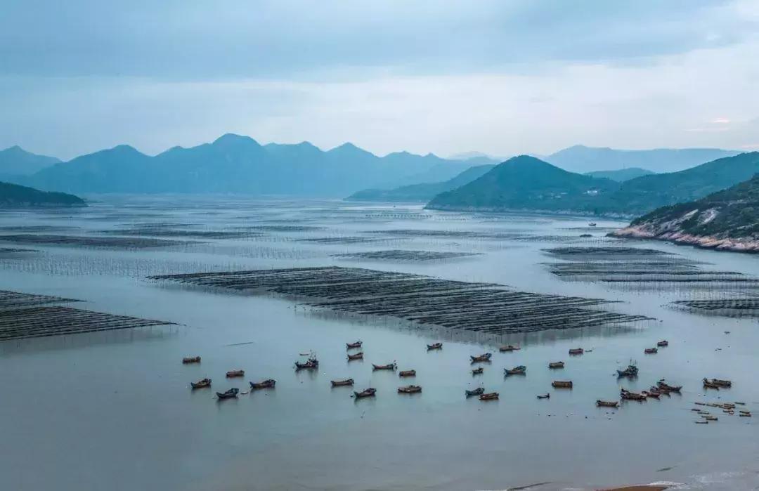 照片好不好看不重要姿势很重要,照片特别好看不知道该选哪个了