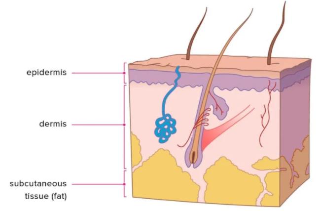 热玛吉提拉紧致皮肤的5个原理,热玛吉光子嫩肤真实感受分享