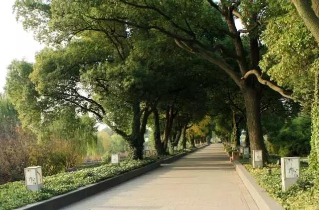 江阴为什么自豪,江阴为什么这么好