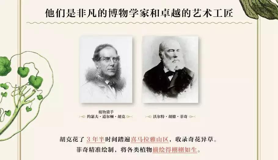 植物学第一次实验体会,植物学实践课