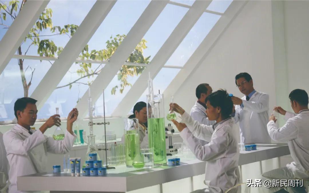 隆力奇是什么做的,隆力奇九大研发中心都在哪里