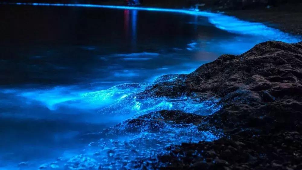 这个夏日25°C的宝藏城市美炸了！海岛、万国建筑、叮叮车..想去