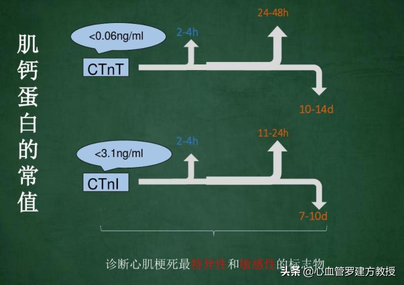 心肌三项中的myo偏高是心梗了吗,心梗三项ck7.42正常吗