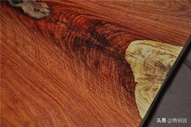 奥氏黄檀和微凹黄檀,奥氏黄檀原木
