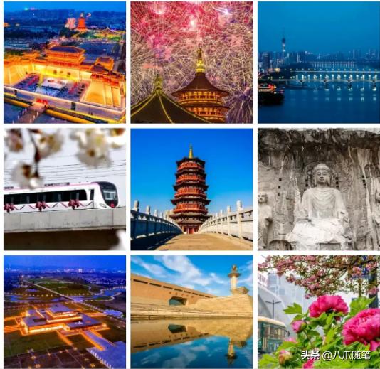 最黑的牡丹黑豹,最黑牡丹黑豹