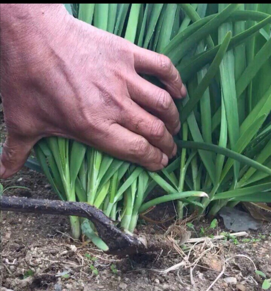 入股需要懂什么行情,刚入股新手注意什么