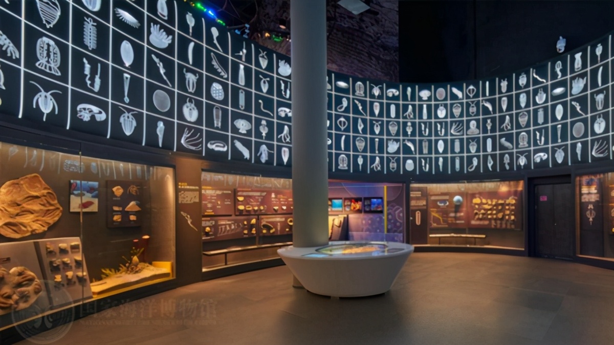 国家海洋博物馆游玩需要多久,天津生态城国家海洋博物馆