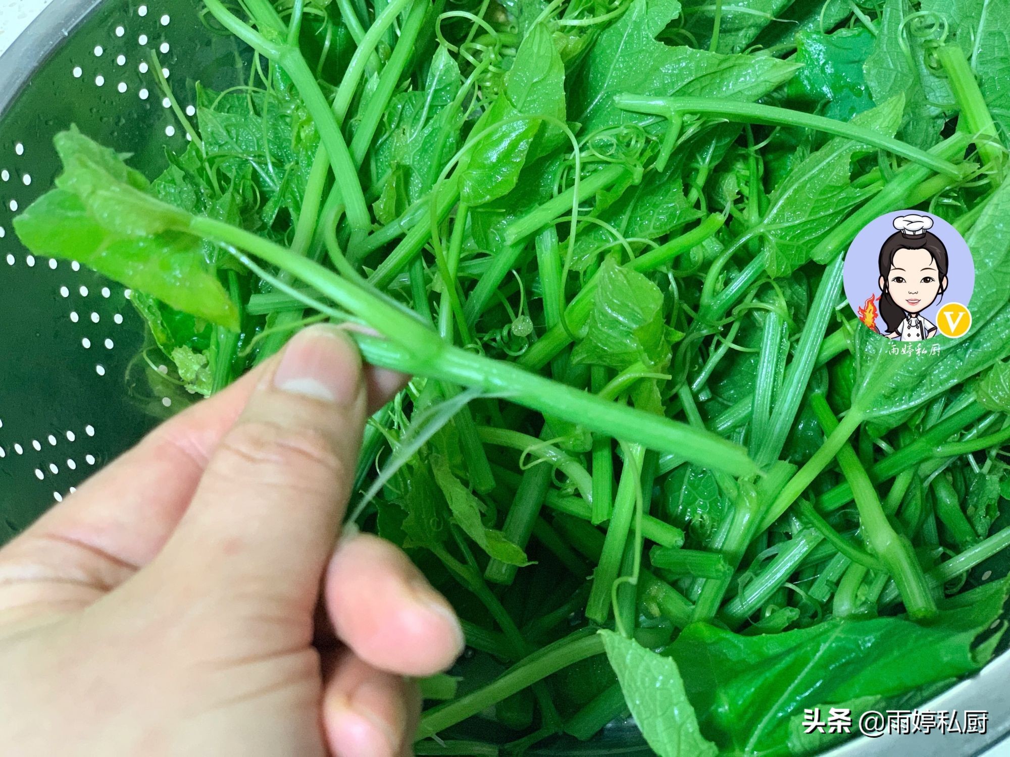 秋天全家人就馋这菜简单一拌,夏天此菜别错过拌一拌清爽可口