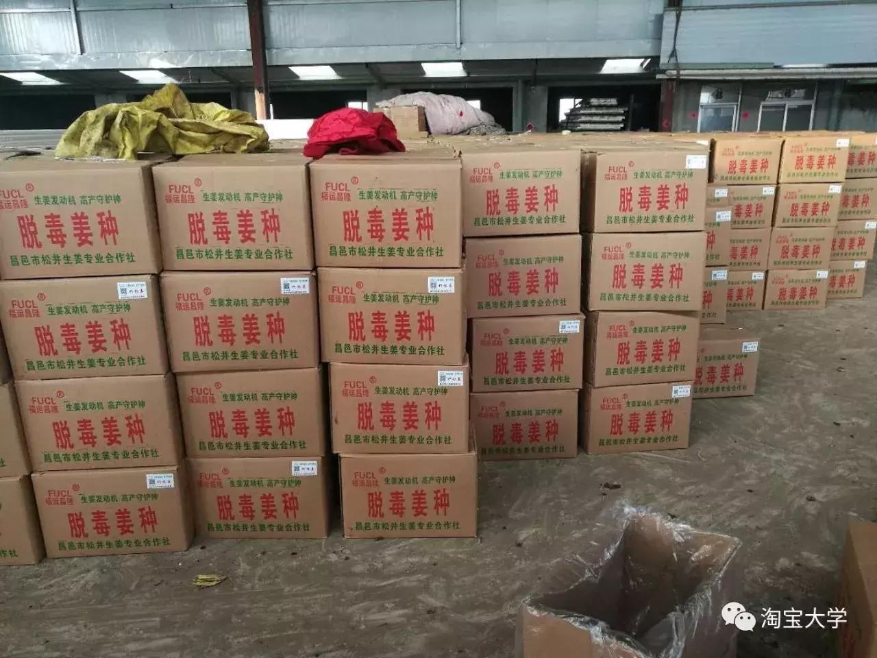 他网上卖的生姜老外买了都说好，轻轻松松三百万