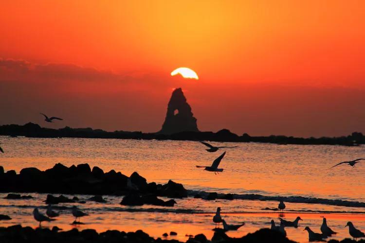 单反快速入门索尼,单反自动挡是哪个