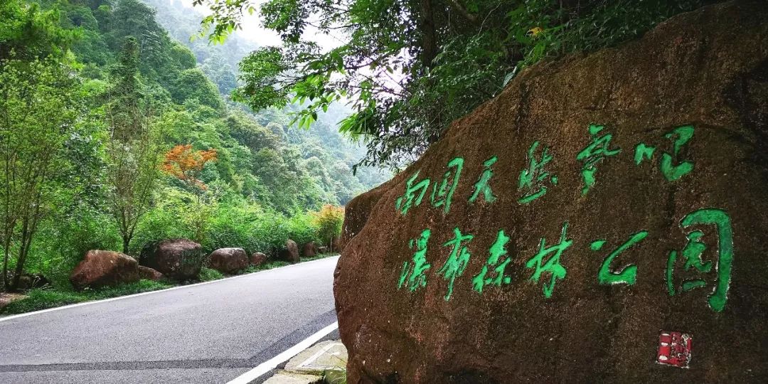 贺州姑婆山景区国家森林公园,贺州姑婆山森林公园路线