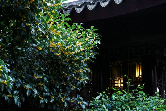 修身齐家治国平天下对联,10副禅意对联