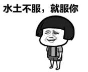 lv老板成全球首富和lisa有关吗,lv老板成全球新首富