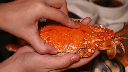 中山生蚝刺身自助,生蚝刺身自助西安