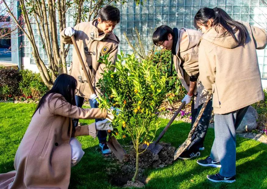 感恩节用小朋友照片做视频,学生创意视频怎么做