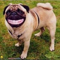 原来微信昵称还有这些讲究，它可能正在出卖你的隐私