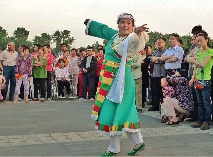 荷兰的郁金香为什么被称为国花,郁金香在荷兰有多高贵