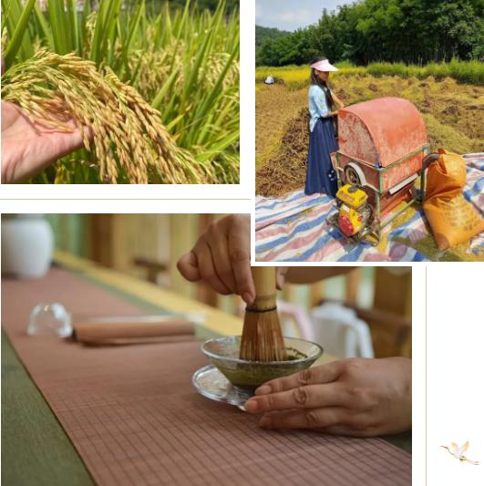 世外桃源亲子游玩好去处,近期广州既安全又好玩的亲子去处