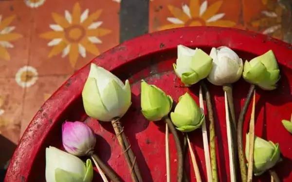 泰国旅游注意事项详细攻略,泰国十大坑爹景点