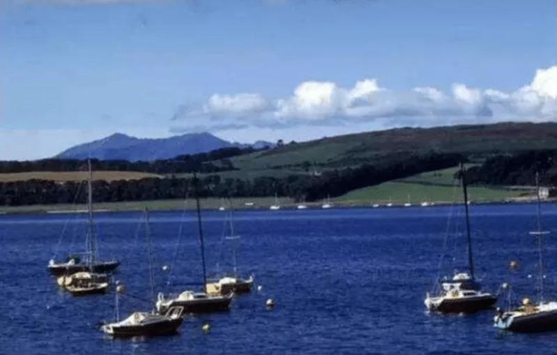 禁不起折腾！加澳两国开始妥协，哪怕运费再贵也要把龙虾运到中方