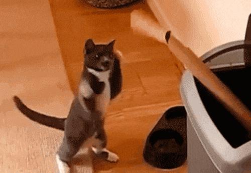 每天背单词100个坚持30天,单词记忆法轻松背单词abc