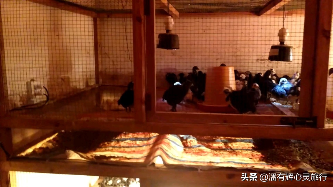 徒步第126天海南环岛行,徒步135天到大悟视频