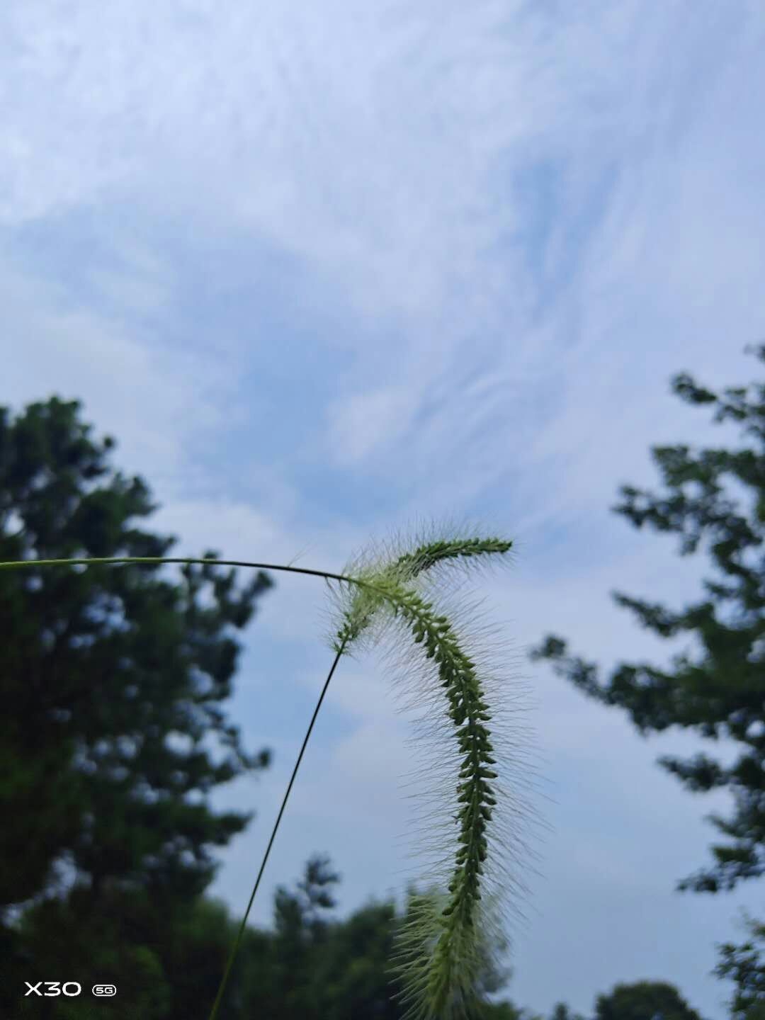 绿山墙的安妮里面的人物特点,绿山墙的安妮安妮为什么要道歉