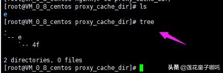 缓存架构系统就谈多级缓存，可我就知Redis！nginx缓存代理助提升