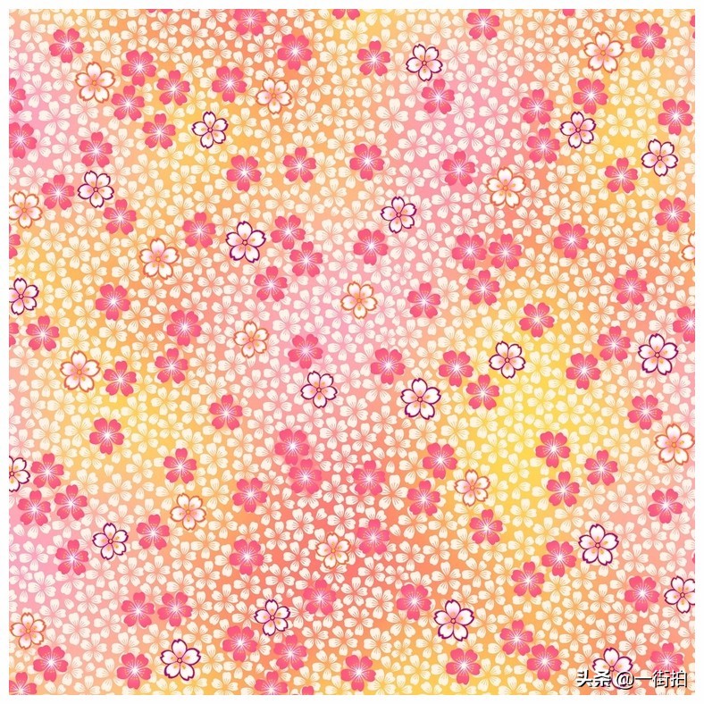 迪丽热巴杨紫同款穿搭,杨紫迪丽热巴同款穿搭