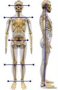 长期久坐，如何让身体回到相对中立的位置