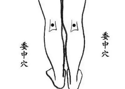 女人经常喊腰痛背痛怎么回事,女人喊腰疼什么原因