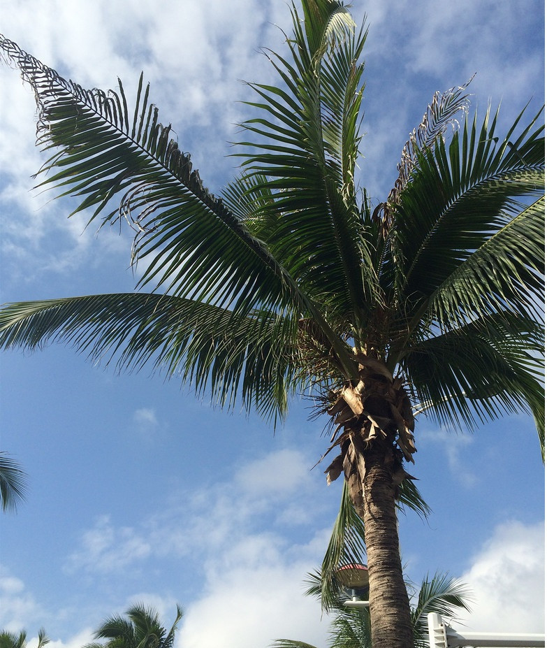 广州自驾去三亚旅游攻略,三亚自驾去新疆旅游攻略