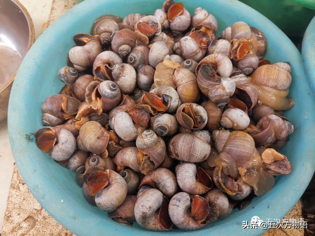 青岛海鲜市场价格表今日,青岛哪个农贸市场海鲜最便宜又好