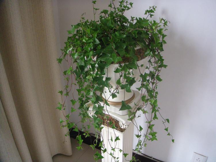 房屋装修完有味是什么情况,危险房屋警示