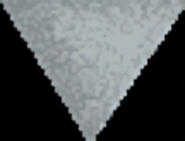 「关注」硕果压枝话丰收