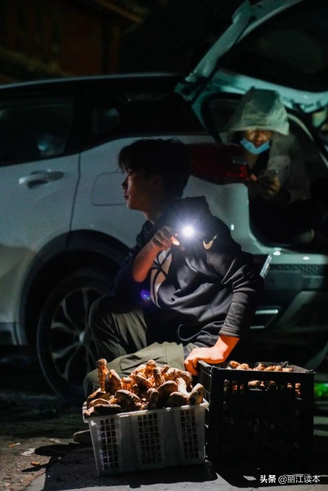 疯狂的松茸,疯狂的野生菌