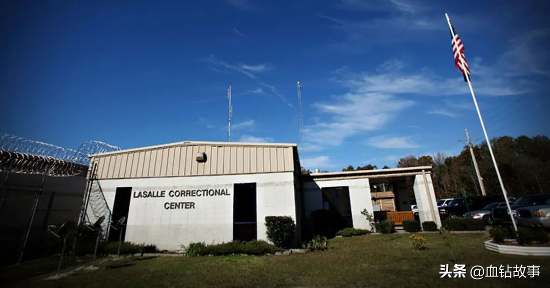 大洋彼岸的“子宫掠夺者”