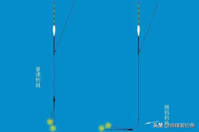 钓鱼初学入门基础知识,新手学习钓鱼入门基本知识